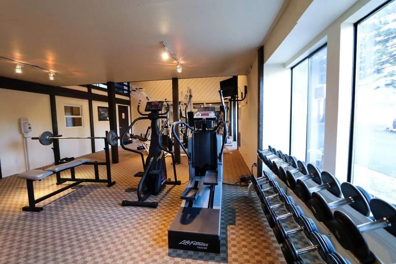 Apartman Summit #293 Condo Mammoth Lakes